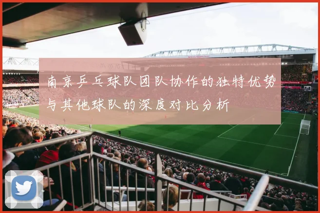 南京乒乓球队团队协作的独特优势与其他球队的深度对比分析