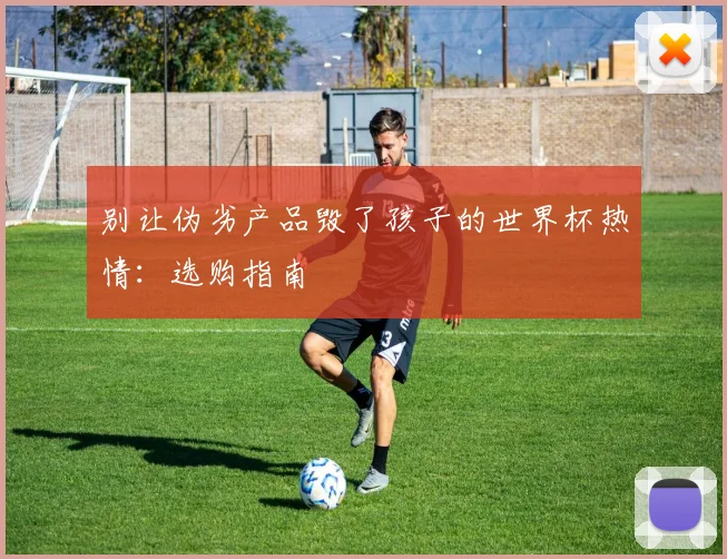 别让伪劣产品毁了孩子的世界杯热情：选购指南
